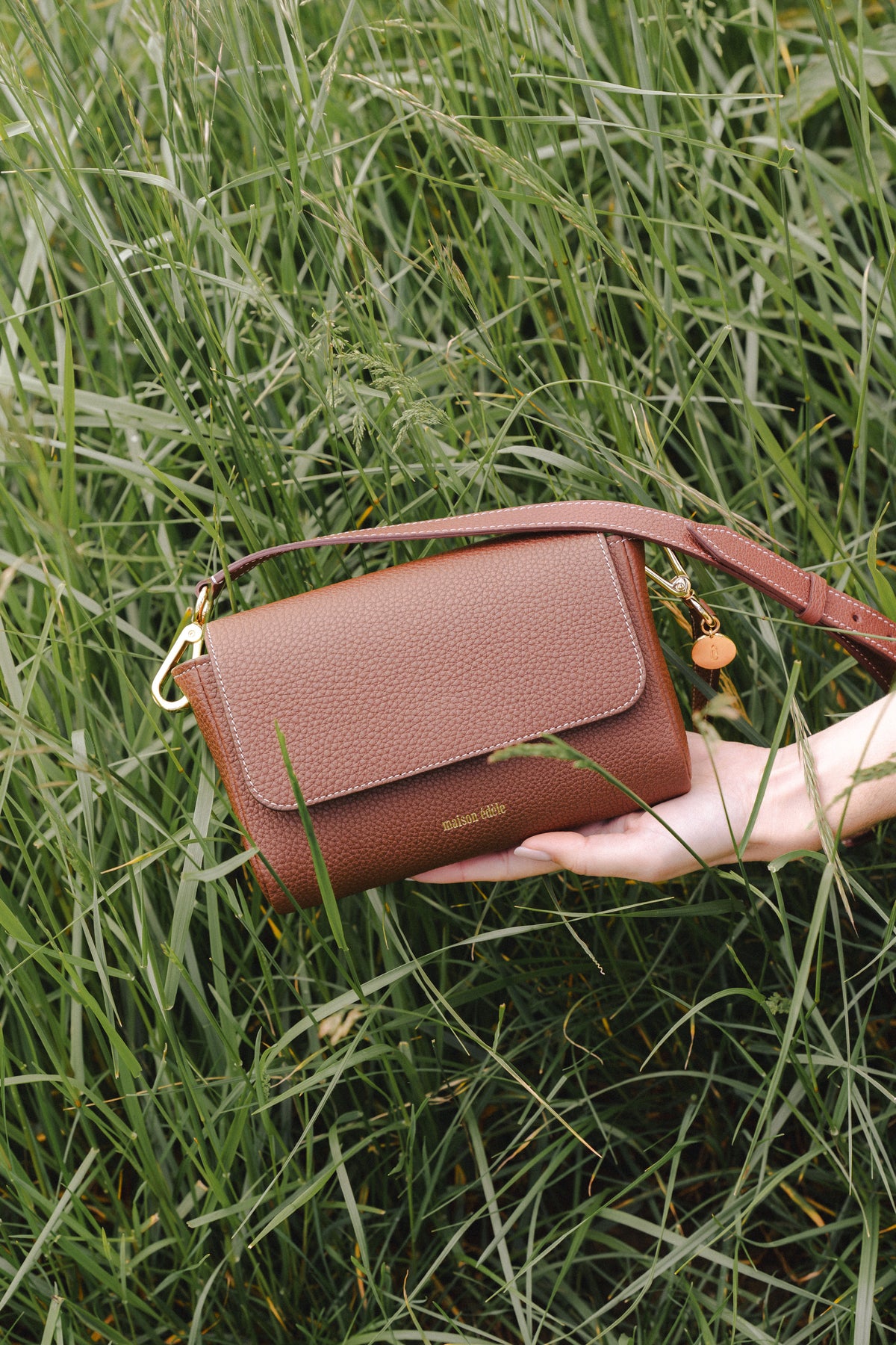 Iris Chocolat, Ceinture Chocolat