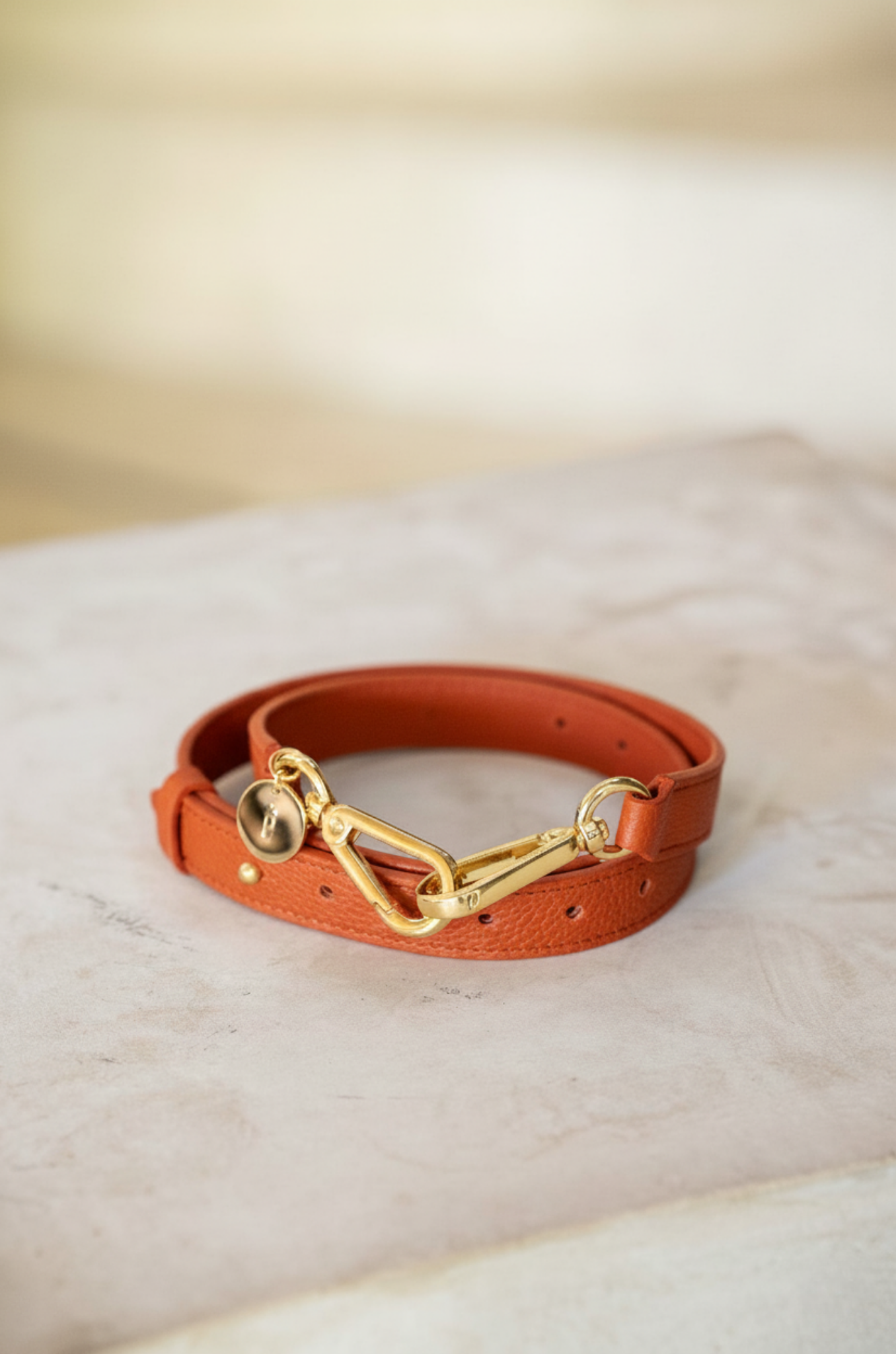 Ceinture, Orange Tangerine