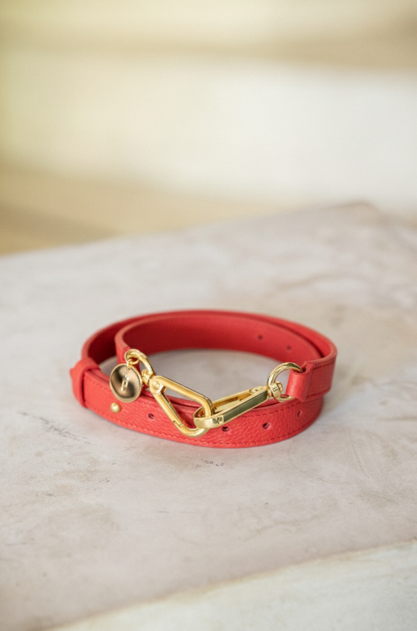 Iris Rooibos, Ceinture, Rooibos